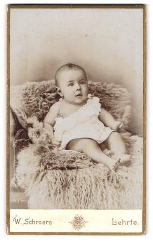 Fotografia schroers - w.,