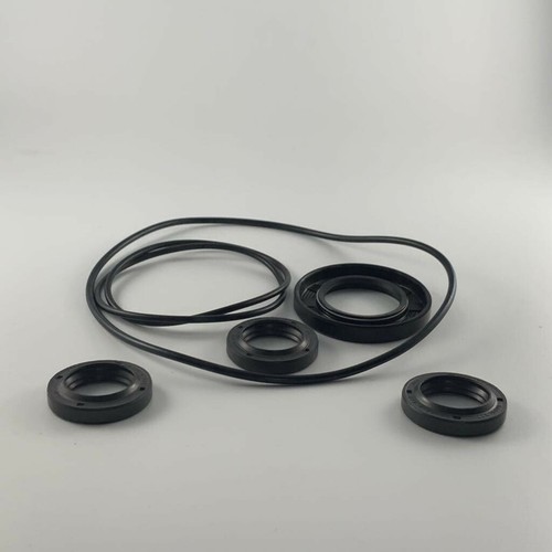 Kit tenute olio pompe - tenute,