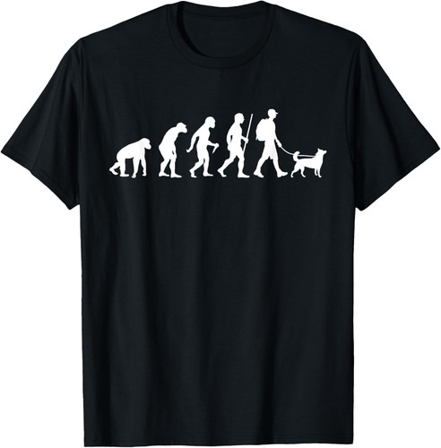 Evoluzione delle passeggiate - evoluzione,