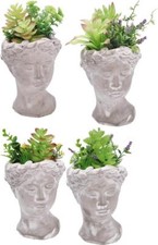 Vaso piante grasse - c/piante,