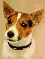 SCHEMA SCHEMI PUNTO CROCE QUADRO CANE JACK RUSSELL CANI