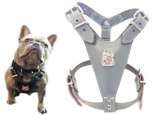 Imbracatura per cani pelle - cani, in