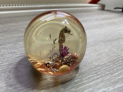 Vintage real seahorse lucite - real,