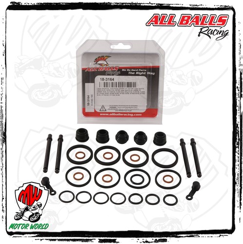 Kit revisione pinza freno - kit,