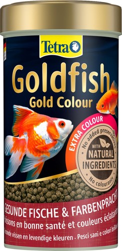 Goldfish gold colour mangime - goldfish,