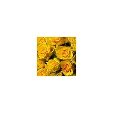 Cialda In Ostia Fiori Rose