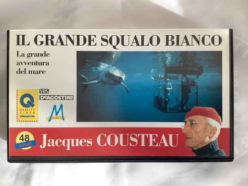 Grande squalo bianco la - grande, bianco.