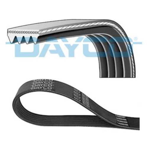 Dayco cinghia vite per - cinghia, a
