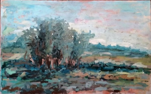 Platani toscani solitudine - toscani,