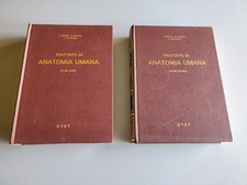 Trattato Di Anatomia Umana Pensa Favaro Cattaneo UTET