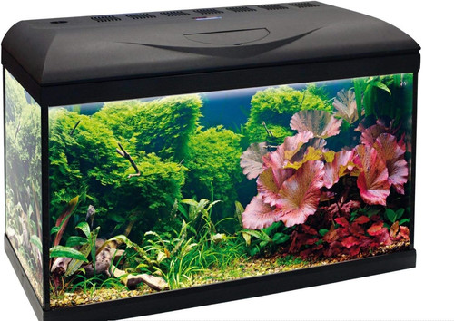 Basic led acquario - -,