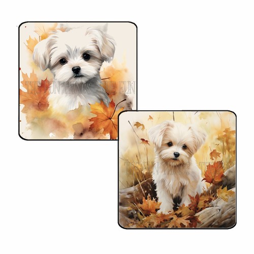 Set calamite frigo autunno - calamite,