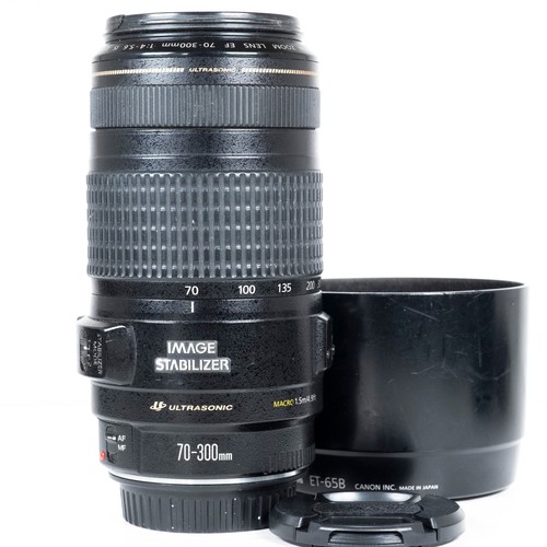 Canon 300 4 - ef, f/4-5.6