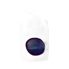 Fanale Posteriore Sinistro SX