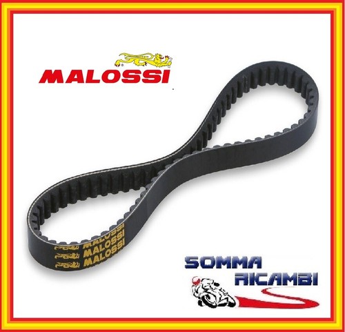 617221 malossi cinghia di - [malossi],