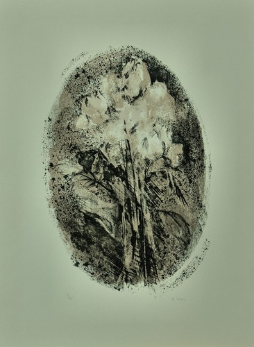 Giuseppe ajmone litografia - ajmone,
