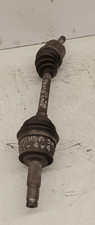 46308260 Semialbero ant