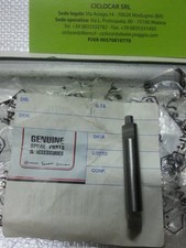 ALBERINO SPINTEROGENO BOBINA