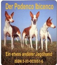 Mein Podenco Ibicenco. Ein