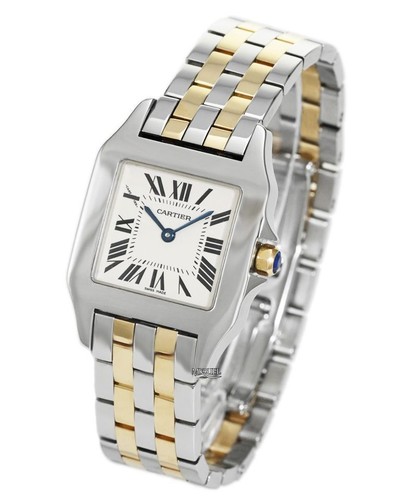 Cartier santos demoiselle - cartier,