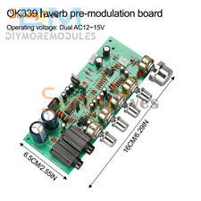 PT2399 Scheda Amplificatore Audio Microfono Scheda Riverbero Musica AC12-15V OK339