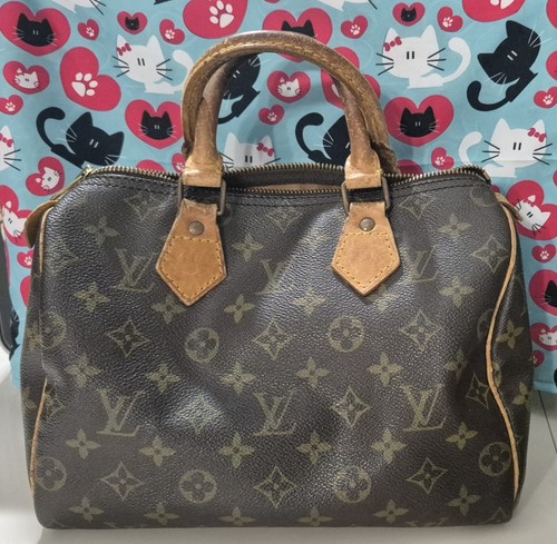 Louis vuitton speedy - louis, 25