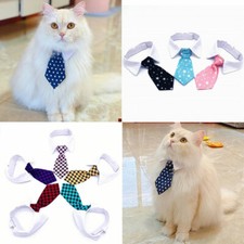 Papillon Per Cani E Gatti
