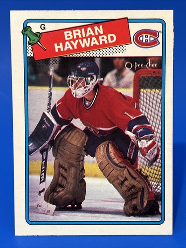 1988 pee chee brian - 1988-89, o-pee-chee