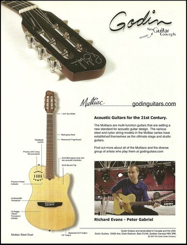 Pubblicità chitarra godin - chitarra,