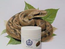Avincen Crema Viso SIERO DI