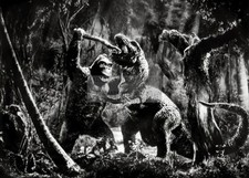 KING KONG AND COMBAT T-REX FAY