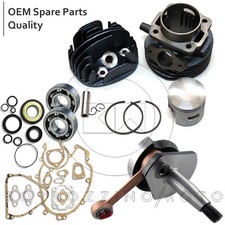 KIT RMS CILINDRO PISTONE D.55