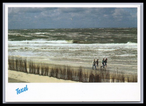 Cartolina texel olanda - cartolina,