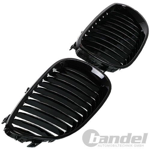 Griglia radiatore sport rene - radiatore,