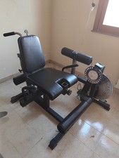 LEG EXTENSION LEG CURL KINGSGYM 