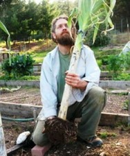 PORRO GIGANTE - GIANT