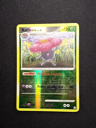 Reverse rafflesia 146 dp - rafflesia, 45/146