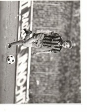 Original Press Photo 10 x 8 -