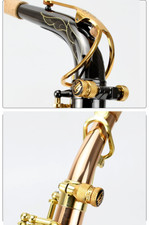 Vite collo sassofono doppio