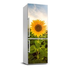 Adesivo magnetico frigorifero