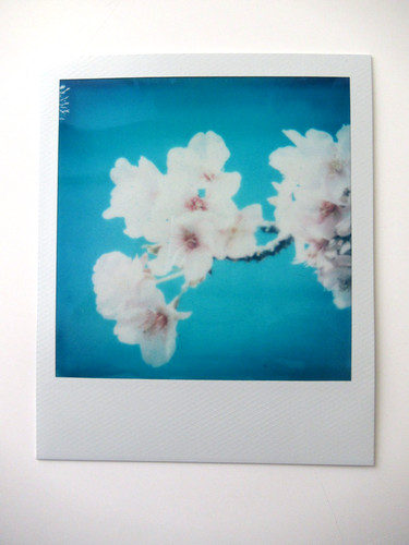 Araki polaroid originale - araki:,