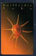 GIAN - Telecom  "GIoielli del Mare: Guilfordia"   Golden 1181  Nuova  Perfetta