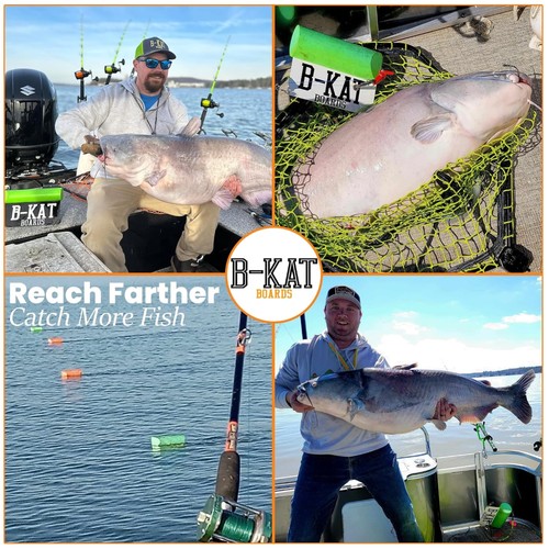 Tavole pesce gatto - tavole, vincitore