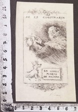 Wunderkammer exlibris 309 - wunderkammer,