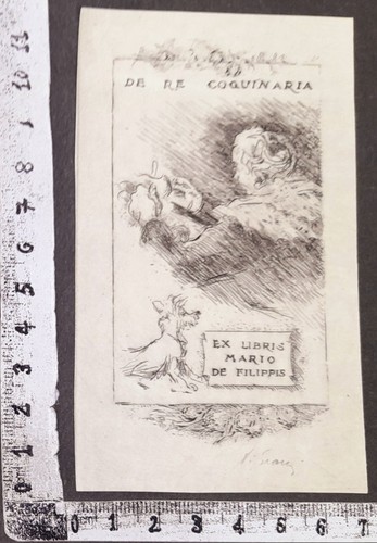 Wunderkammer exlibris 309 - wunderkammer,