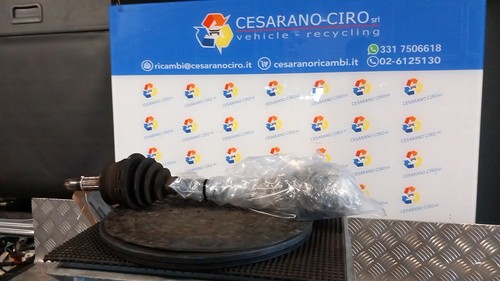 Semialbero ant 46307368 - semialbero,