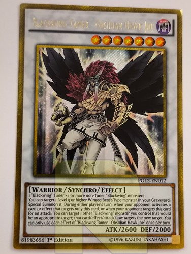 Domatore alanera joe - alanera, sparviero