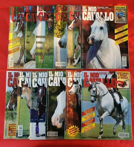 Mio cavallo magazine - mio,