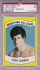 1982 Serie B Wrestling All