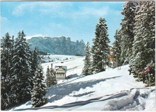 ALPE DI SIUSI - SCILIAR -